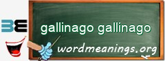 WordMeaning blackboard for gallinago gallinago